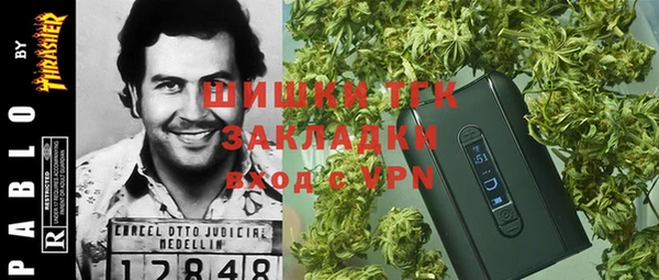 шишки Баксан