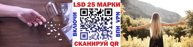 как найти закладки  Ногинск  Лсд 25 экстази кислота 