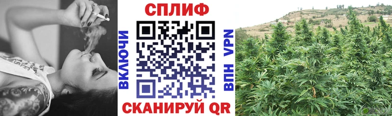 закладка Ногинск Бошки Шишки Ganja